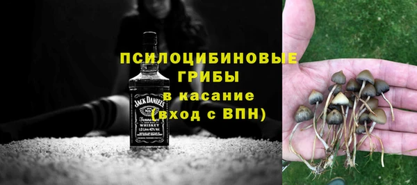 дживик Арсеньев