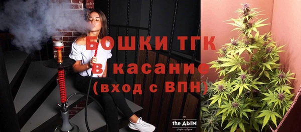 дживик Арсеньев