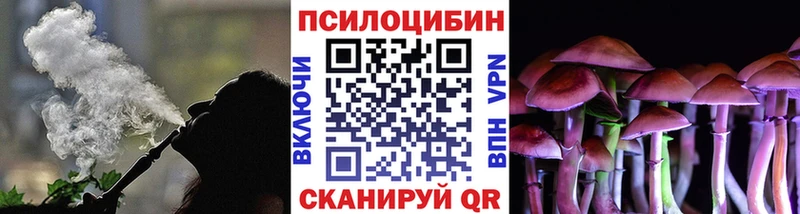 Галлюциногенные грибы MAGIC MUSHROOMS наркотики Курчалой
